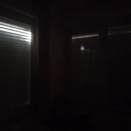 Art31 *